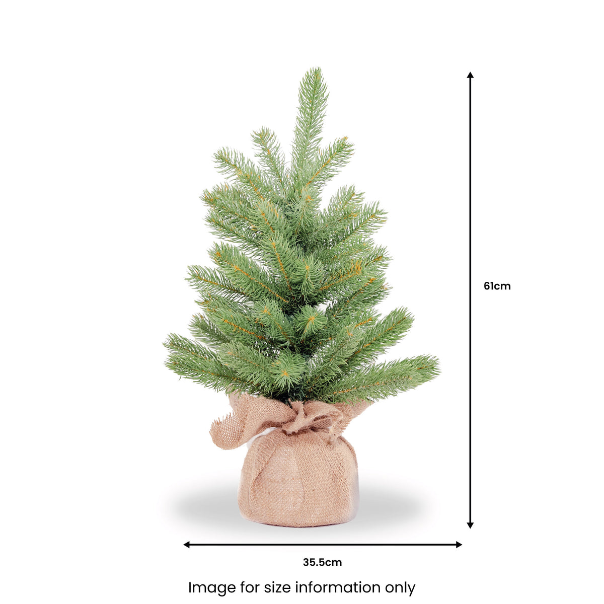 Downswept Douglas 2ft Tree In Burlap Base from Roseland