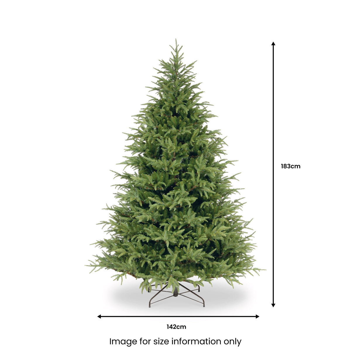 Frasier 6ft Grande Tree from Roseland