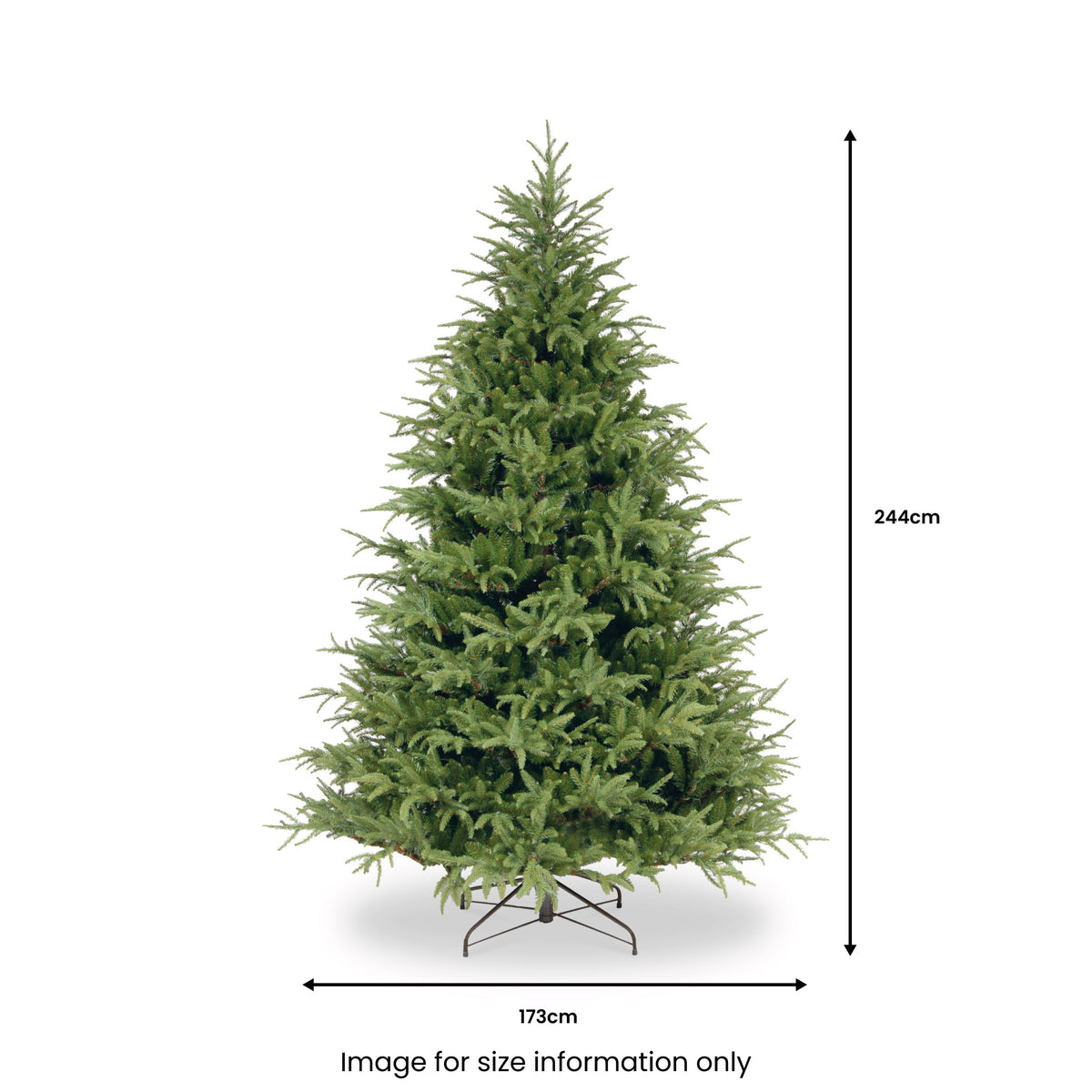 Frasier 8ft Grande Tree from Roseland