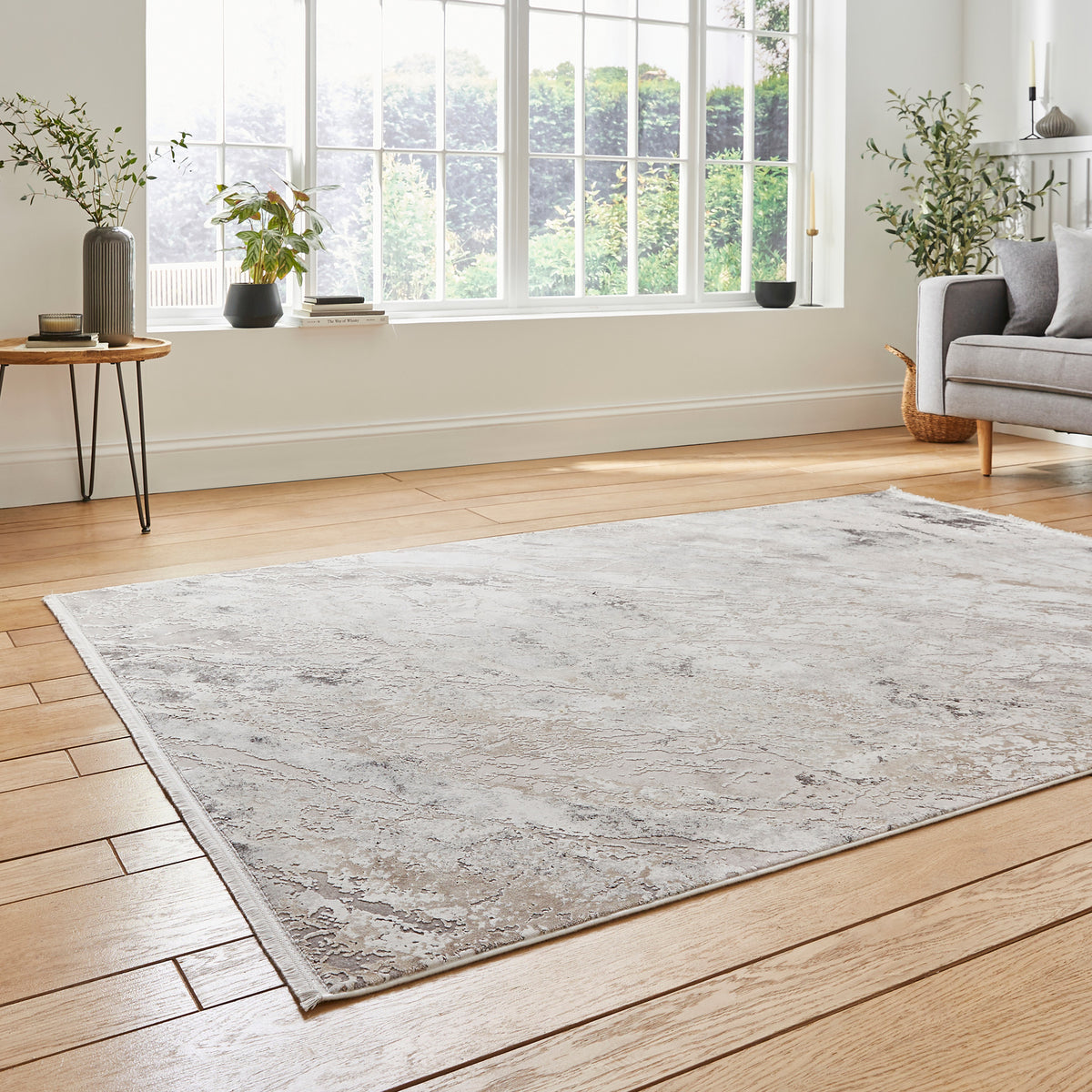 Bella Beige Distressed Rug for bedroom