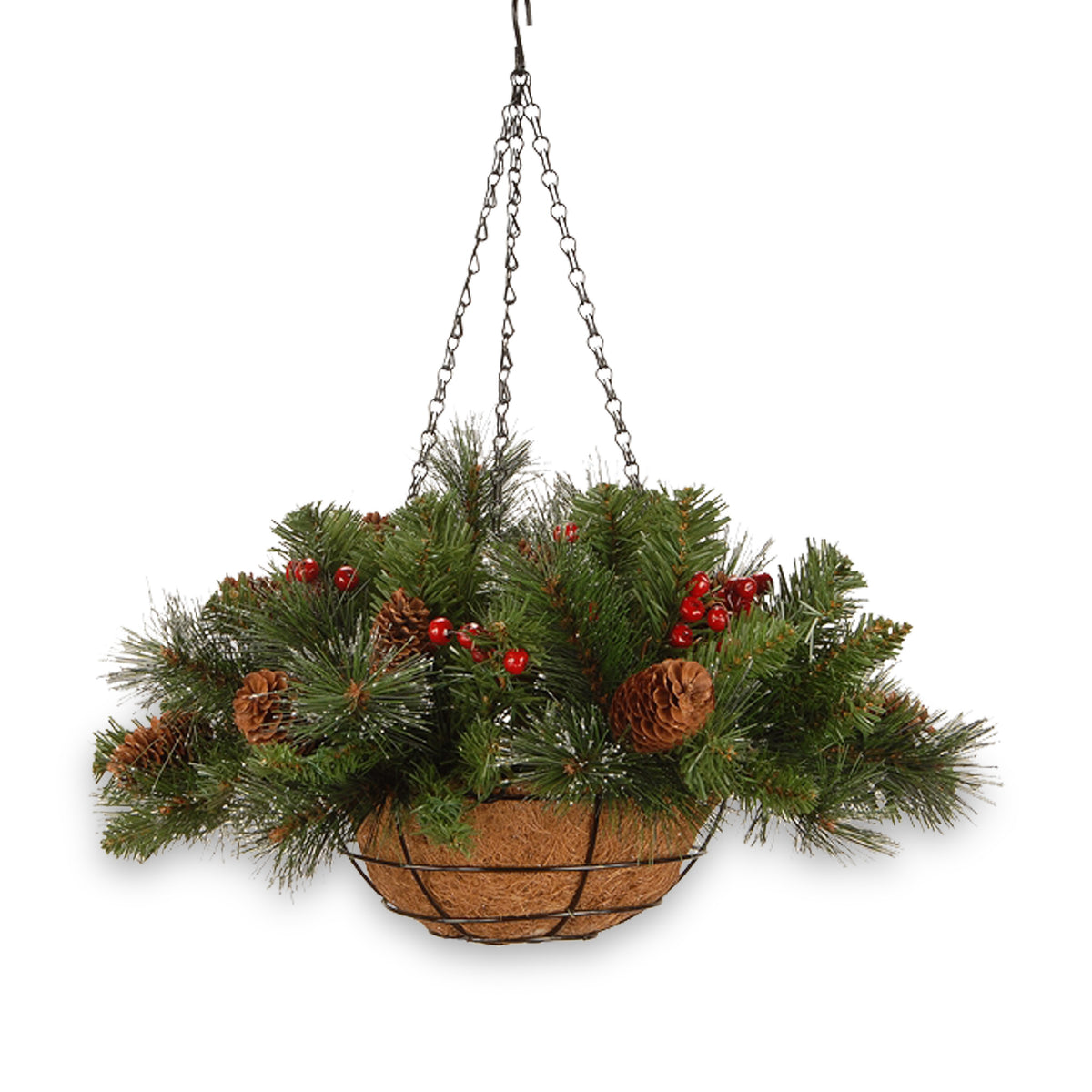 Crestwood Spruce 20" Hanging Basket from Roseland
