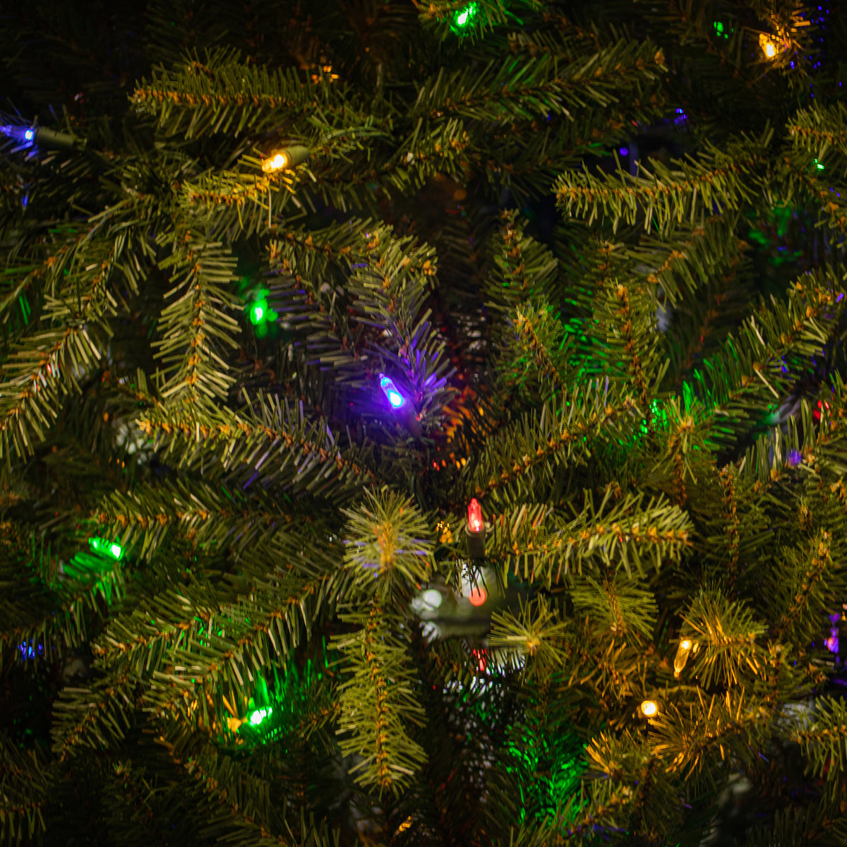 Dunhill Fir Dual Colour LED Christmas Tree