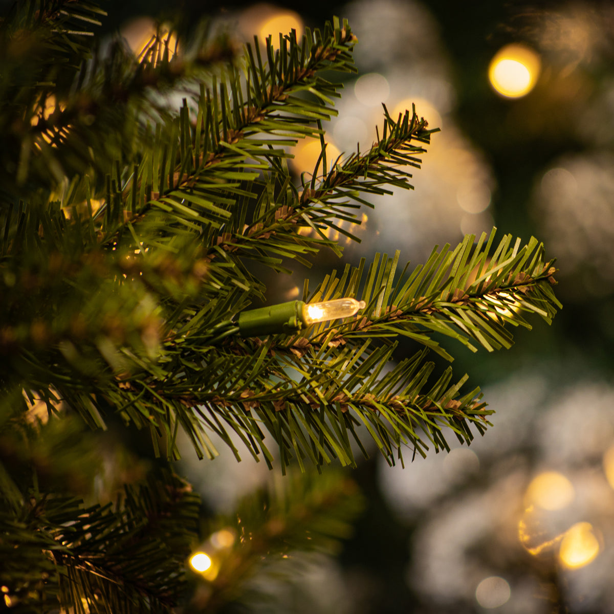 Dunhill Fir Dual Colour LED Christmas Tree