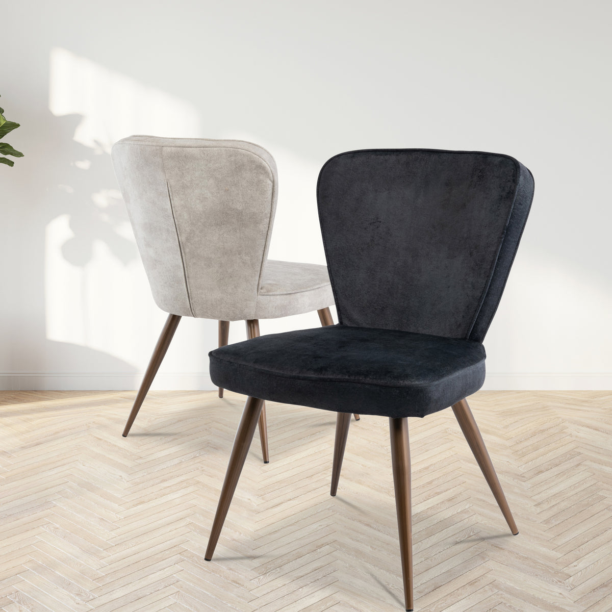 Alva-Soft-Velvet-Dining-Chair-Black from Roseland Furniture