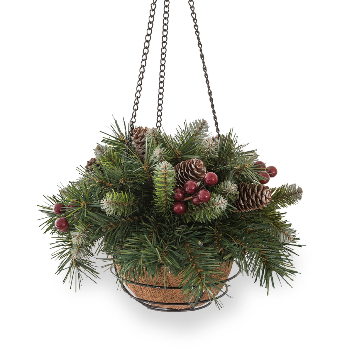 Frosted Berry 14" Hanging Basket from Roseland
