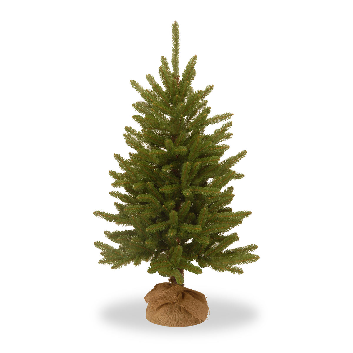 Kensington Fir Tree with Burlap Bag from Roseland