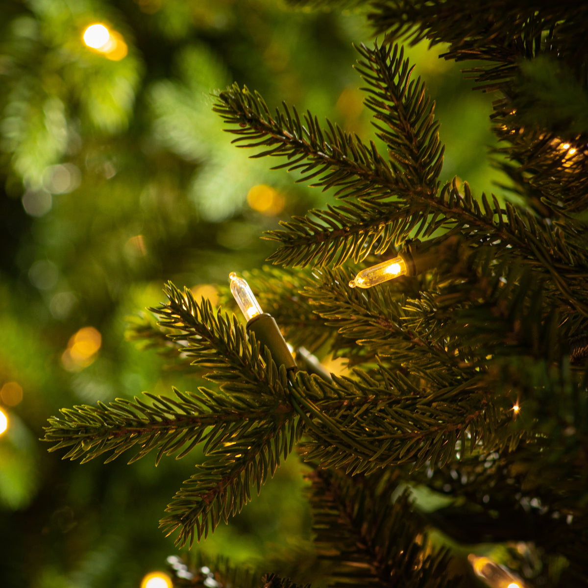 Brookfield Fir Dual Colour LED 6ft Tree from Roseland Furniture