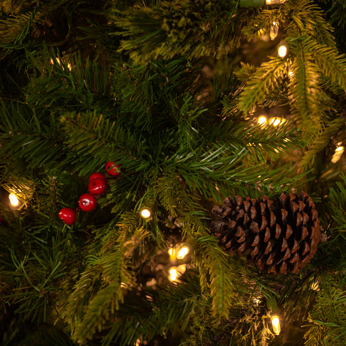 Colonial Fir Warm White LED 6ft Tree with Red Drum from Roseland