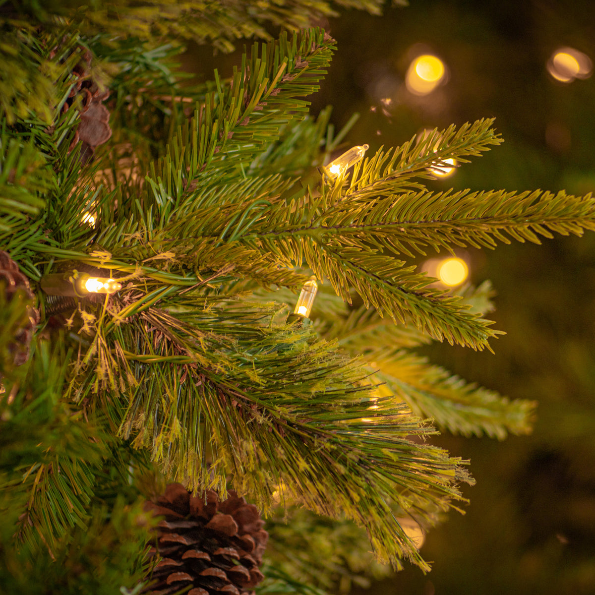 Colonial Fir Warm White LED 6ft Tree with Red Drum from Roseland