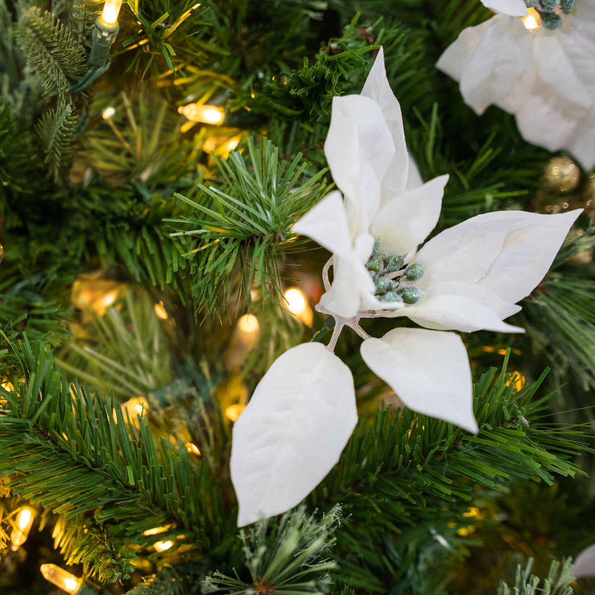 Colonial Fir Warm White LED 6ft Tree with White Drum from Roseland