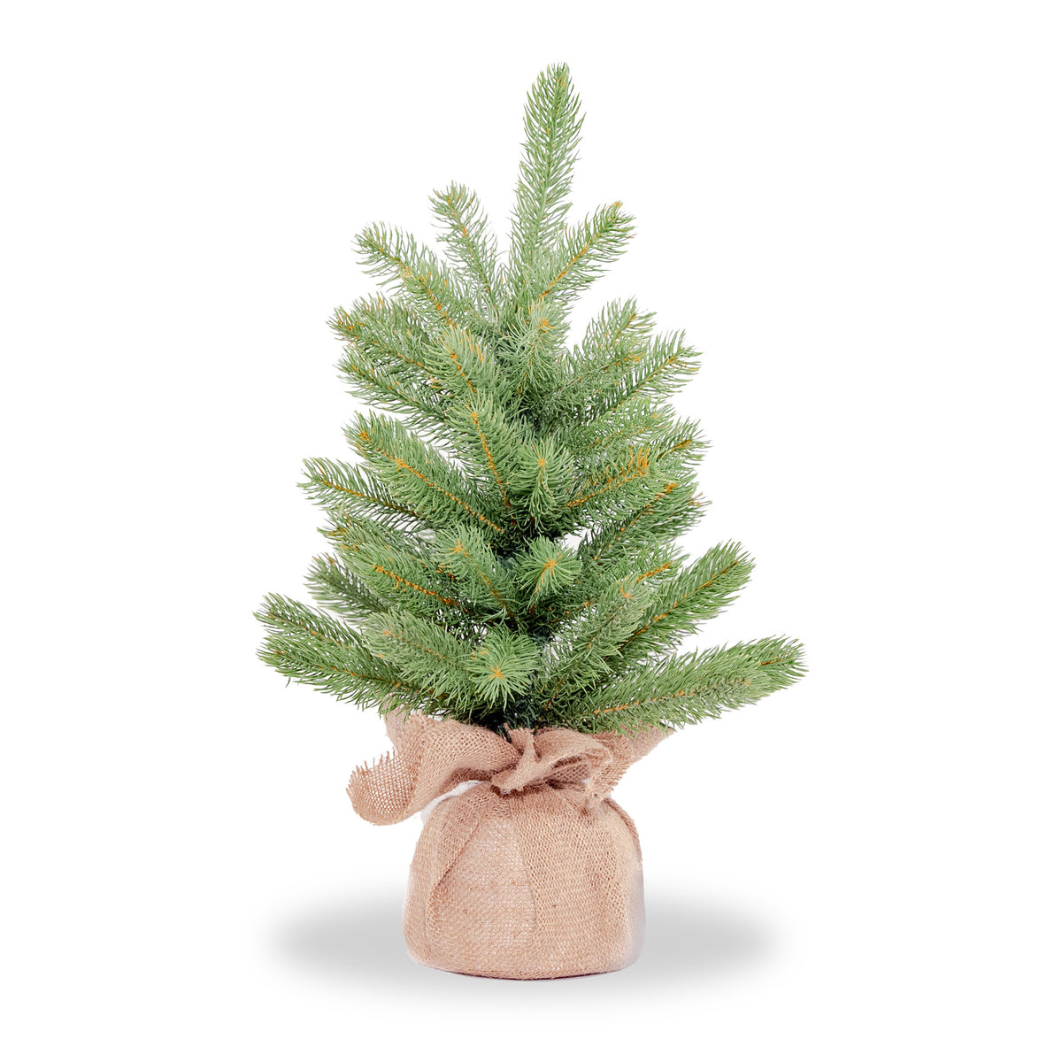 Downswept Douglas 2ft Tree In Burlap Base from Roseland