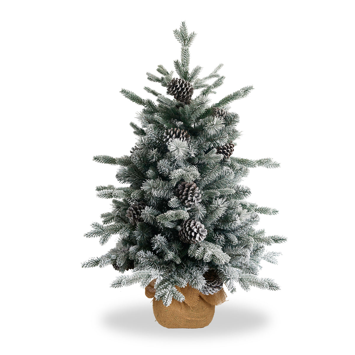 Snowy Dorchester Pine Tree from Roseland