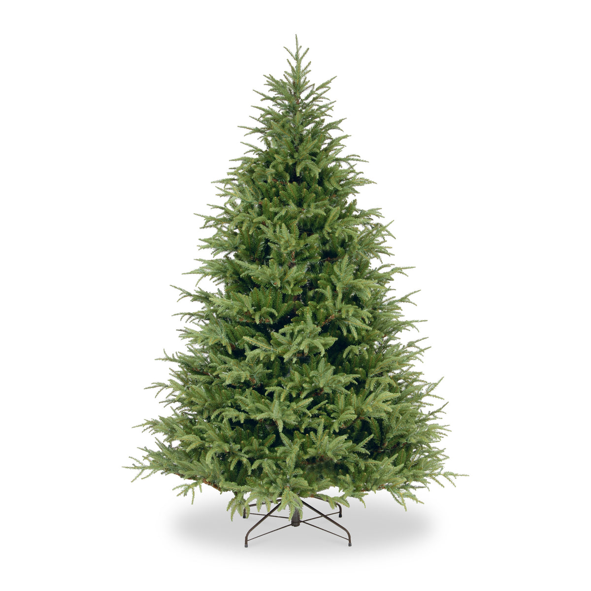 Frasier 5ft 6ft 8ft Grande Tree from Roseland
