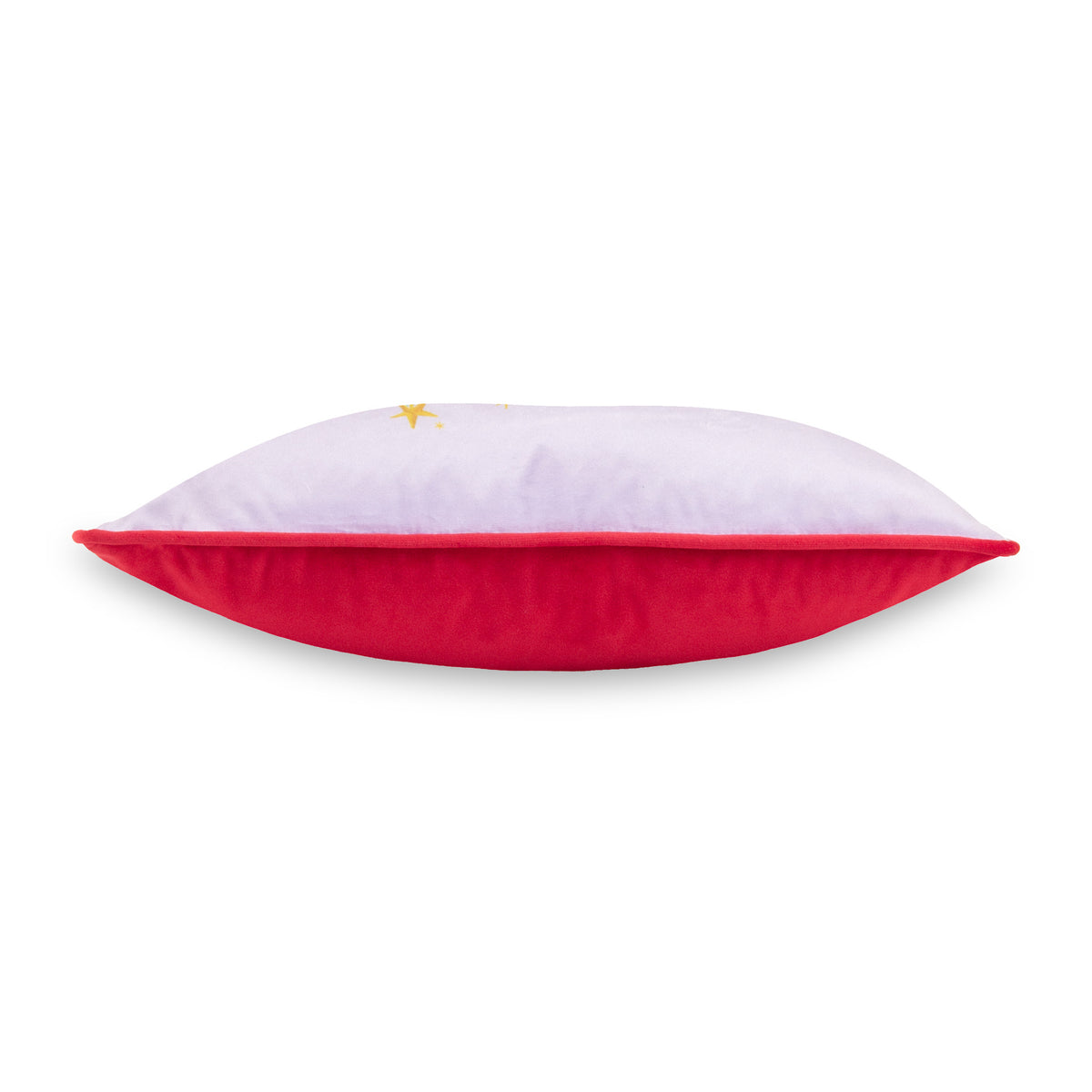 Purrfect Fabyuleous 43x43 Cushion by Roseland Furniture