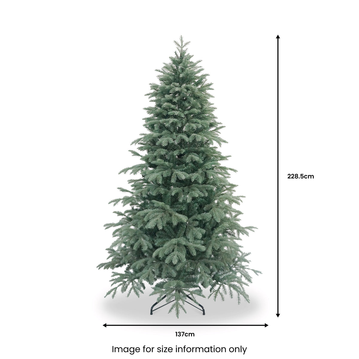 Rockford Blue Spruce 7.5ft Christmas Tree from Roseland
