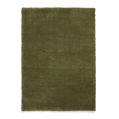 Roswell Stain Resistant Shaggy Rug