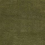 Roswell Olive Stain Resistant Shaggy Rug for living room