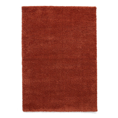 Roswell Stain Resistant Shaggy Rug
