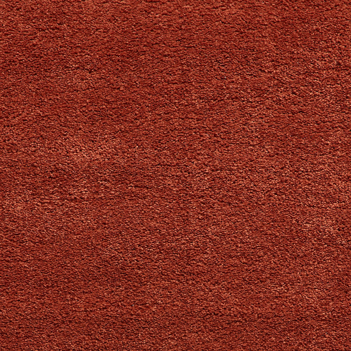 Roswell Terracotta Stain Resistant Shaggy Rug for living room