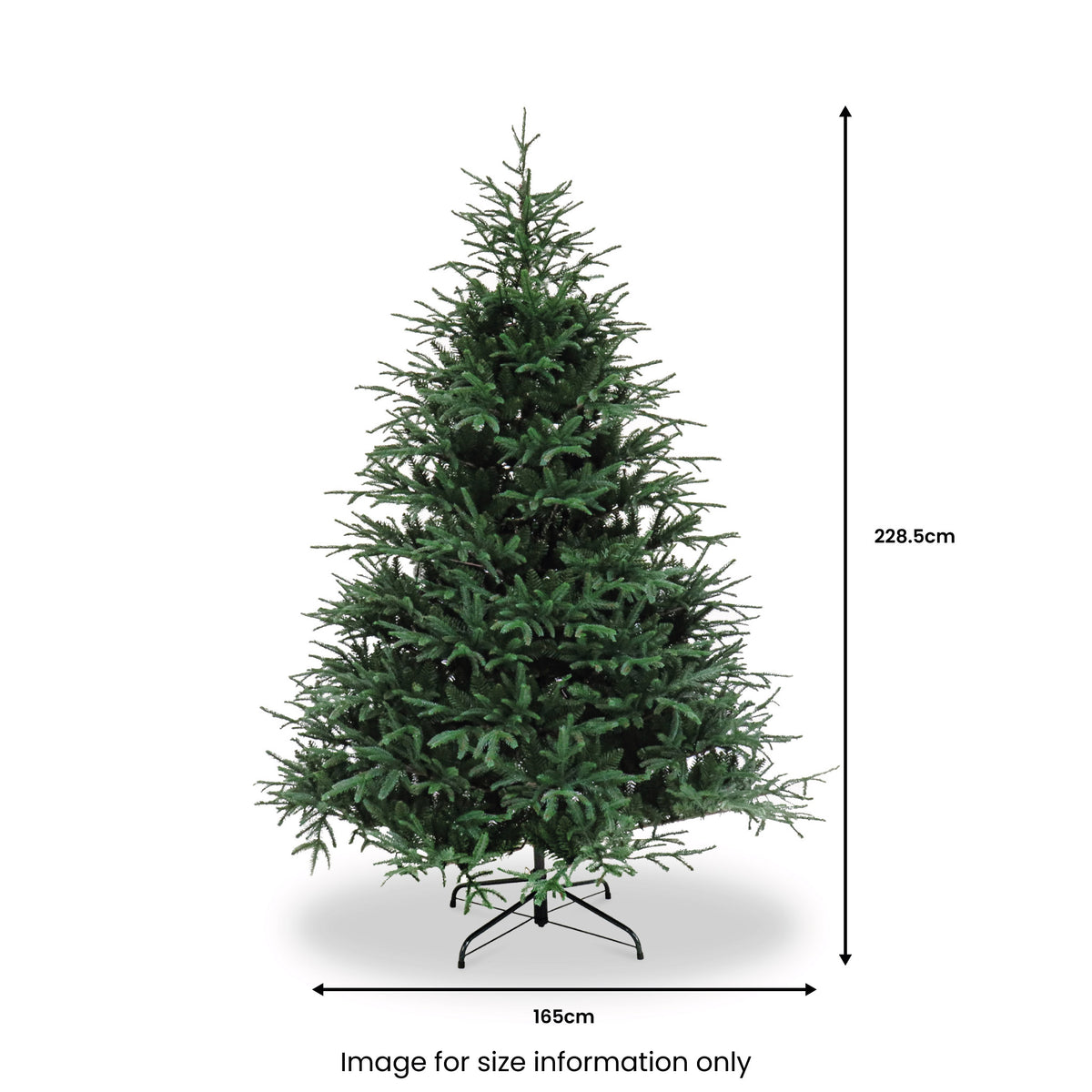 St. Nicholas Spruce 7.5ft Christmas Tree from Roseland