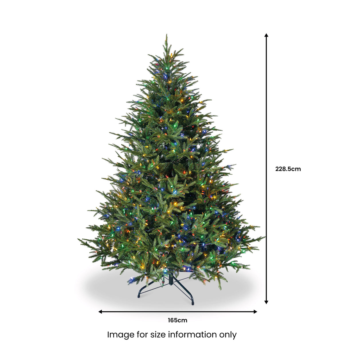 St. Nicholas Spruce Dual Coloured LED 7.5ft Christmas Tree from Roseland