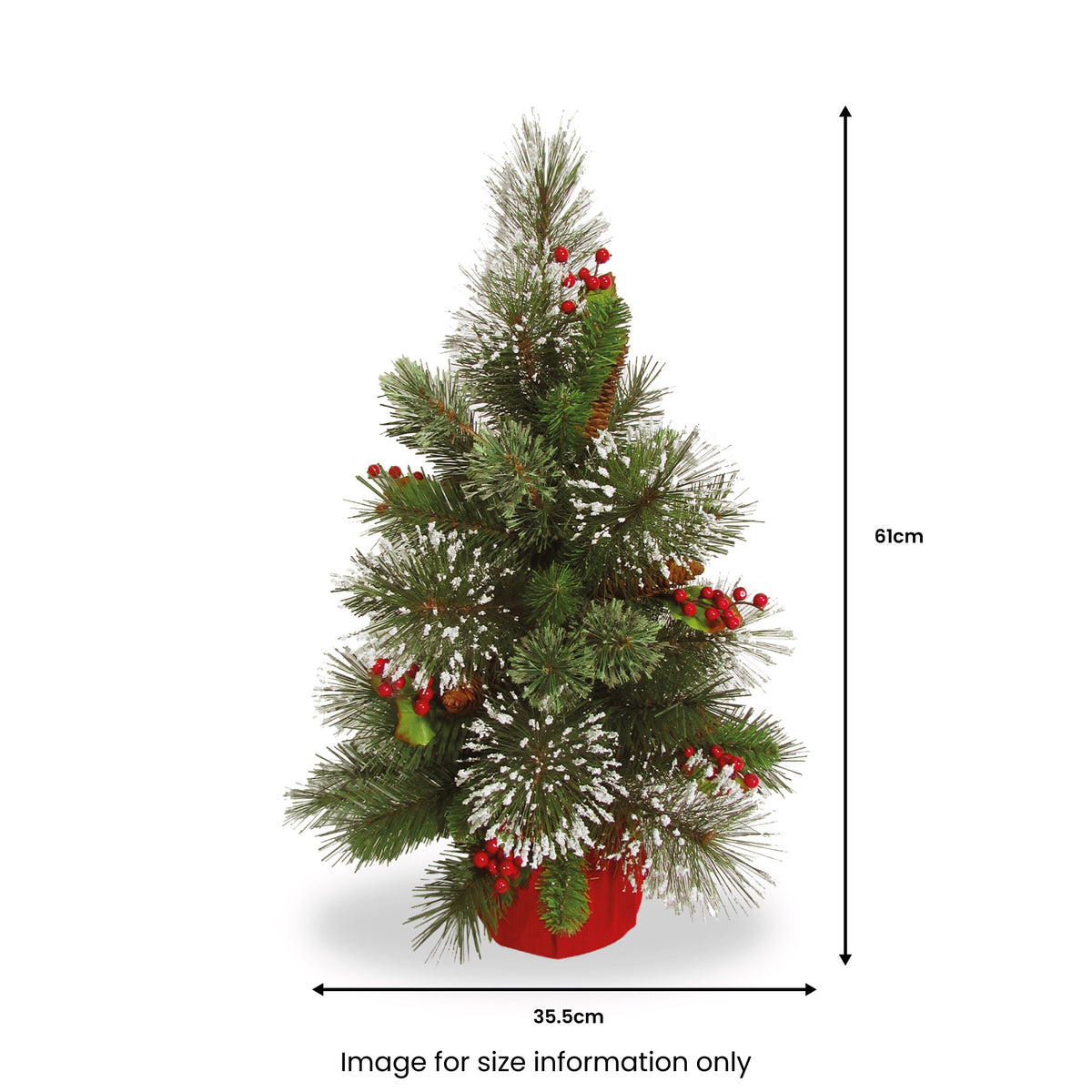 Wintry Pine 2ft Frosted Christmas Tree from Roseland