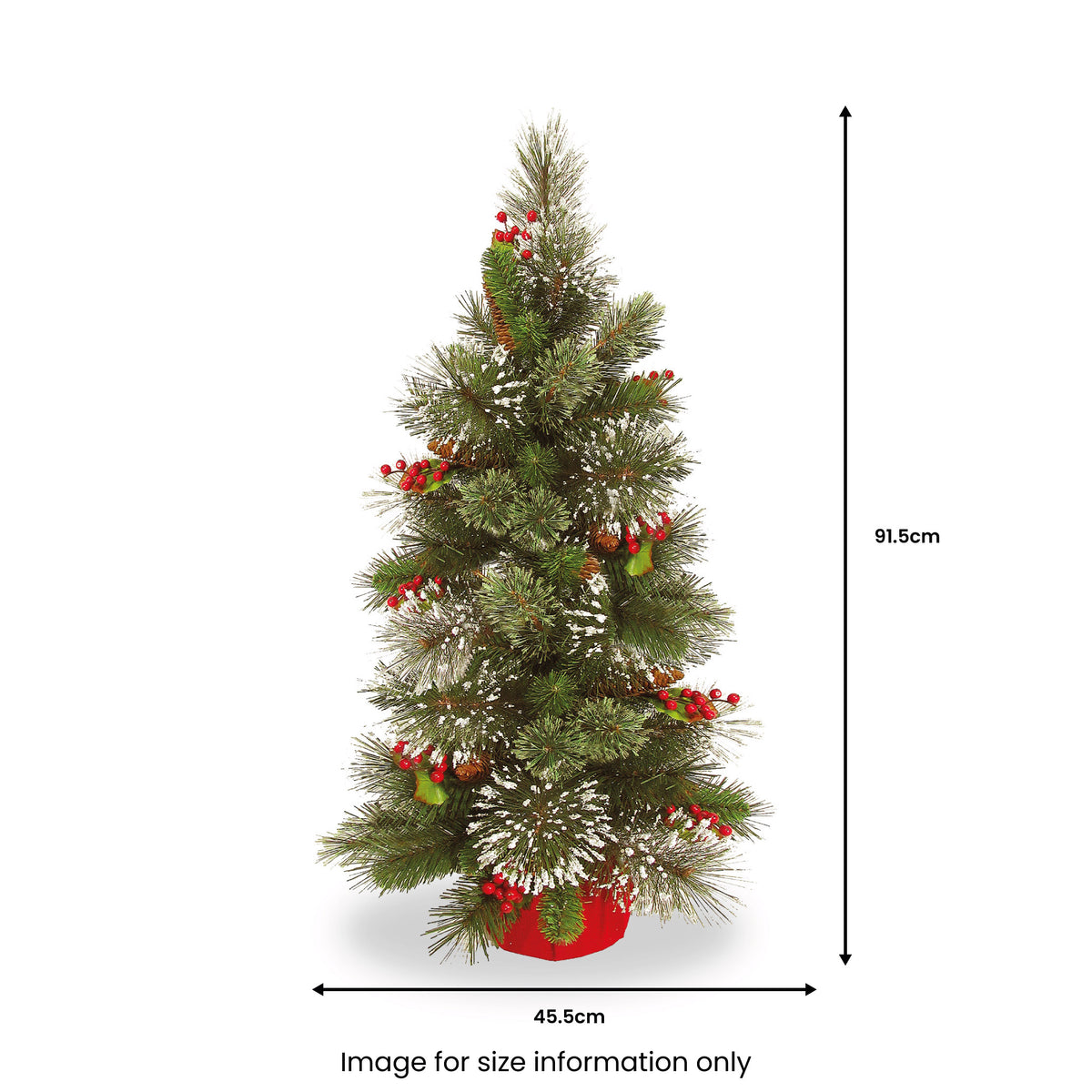 Wintry Pine 3ft Frosted Christmas Tree from Roseland