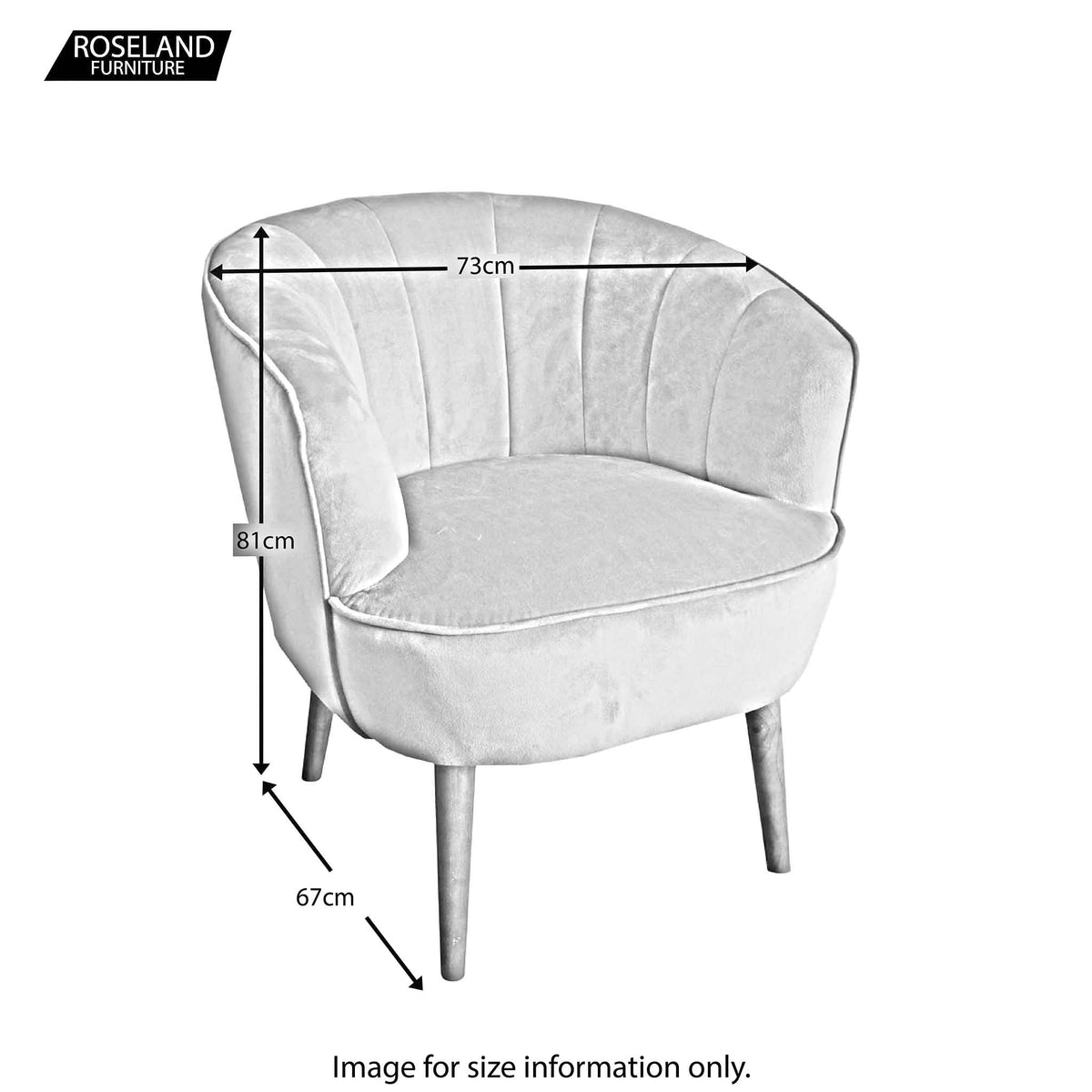 Hester Padded Velvet Accent Armchair dimensions