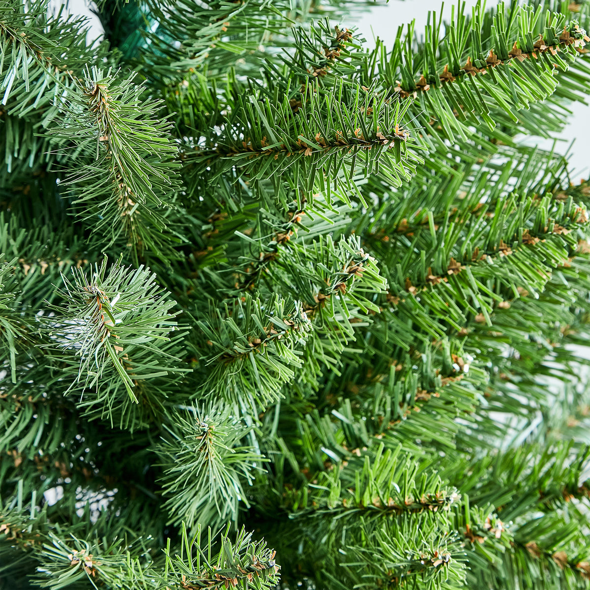 Kingswood Fir Pencil Tree