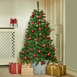 North Valley Spruce Tree