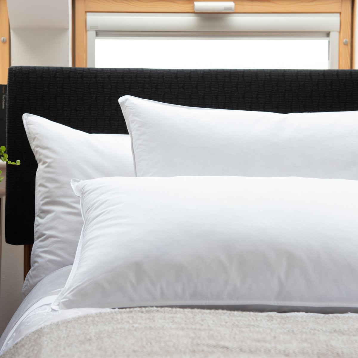 Duck Down Surround Pillow from Roseland Furniture