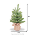 Downswept Douglas 2ft Tree In Burlap Base from Roseland