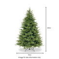 Frasier 8ft Grande Tree from Roseland
