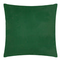 Wrap Plain Green 55X55 Outdoor Polyester Cushion Aqua 2 Pack