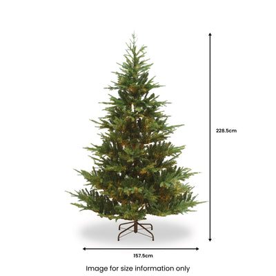 Milford Spruce 7.5ft Tree