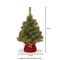 Nobel Spruce 2ft Christmas Tree Minature In Burgundy Bag from Roseland