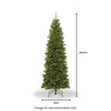 North Valley Spruce 7.5ft Pencil Slim Tree from Roseland