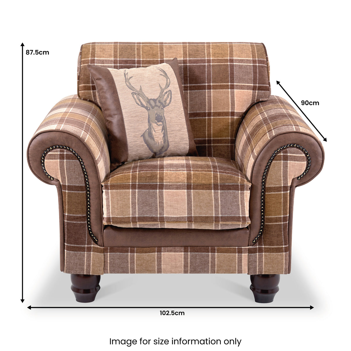 Ashford Accent Chair Arizona Tan from Roseland Furniture