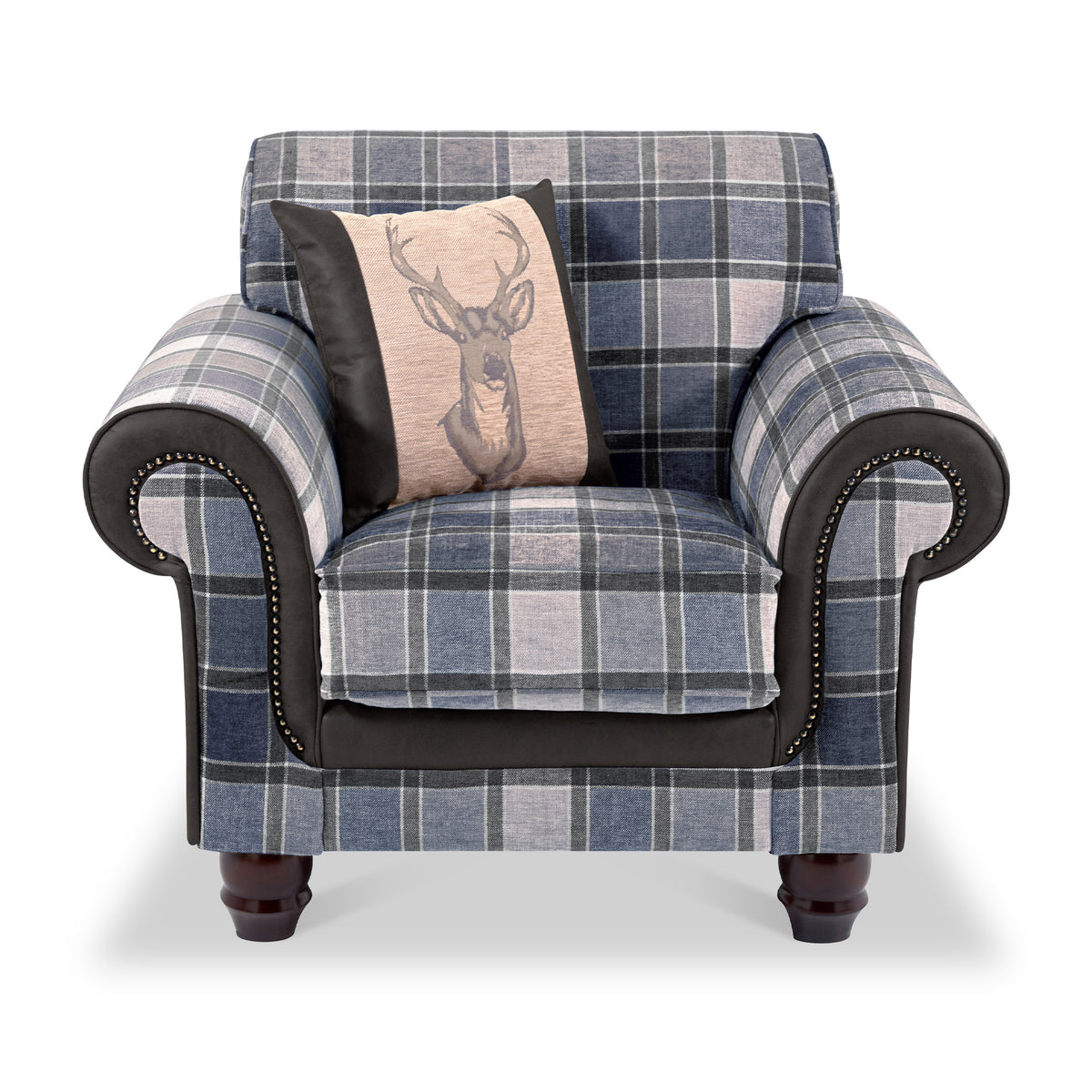 Ashford Accent Chair Arizona Black from Roseland Furniture