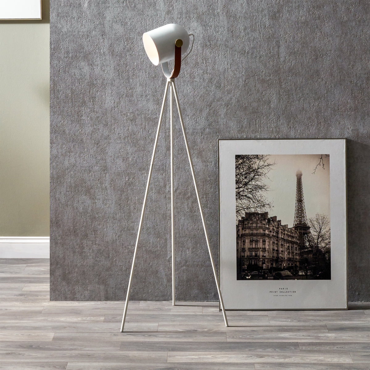 Auden White Metal Tripod Floor Lamp for living room