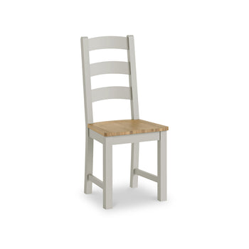 Litton Painted Dining Chair