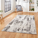 Aldrin Grey Ivory Distressed Patterned Rug for living room