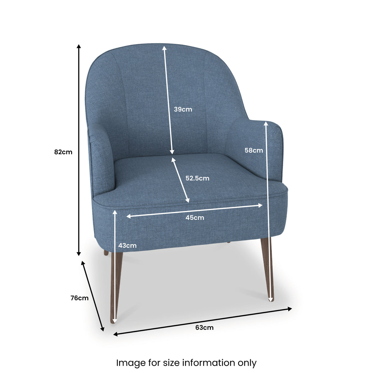 Todd Comfy Fabric Accent Armchair for Living Room or Bedroom Roseland