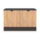 Huxley Compact 2 Door Media Unit Oak Graphite from Roseland Furniture