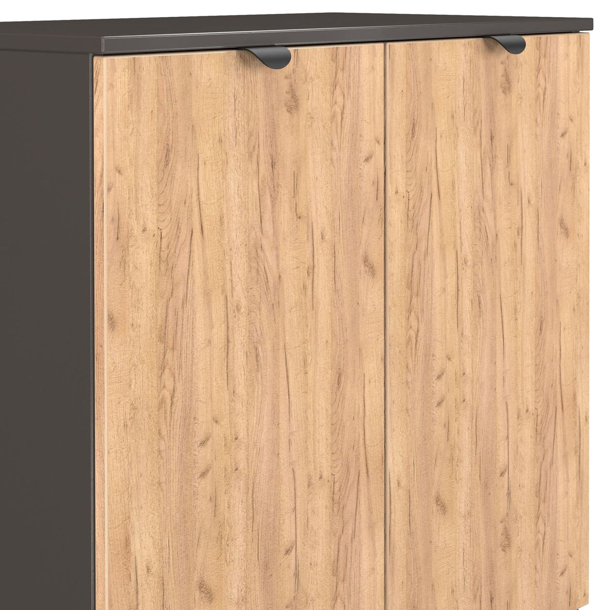 Huxley 2 Door Cabinet Oak Graphite from Roseland Furniture