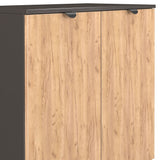 Huxley 2 Door Cabinet Oak Graphite from Roseland Furniture