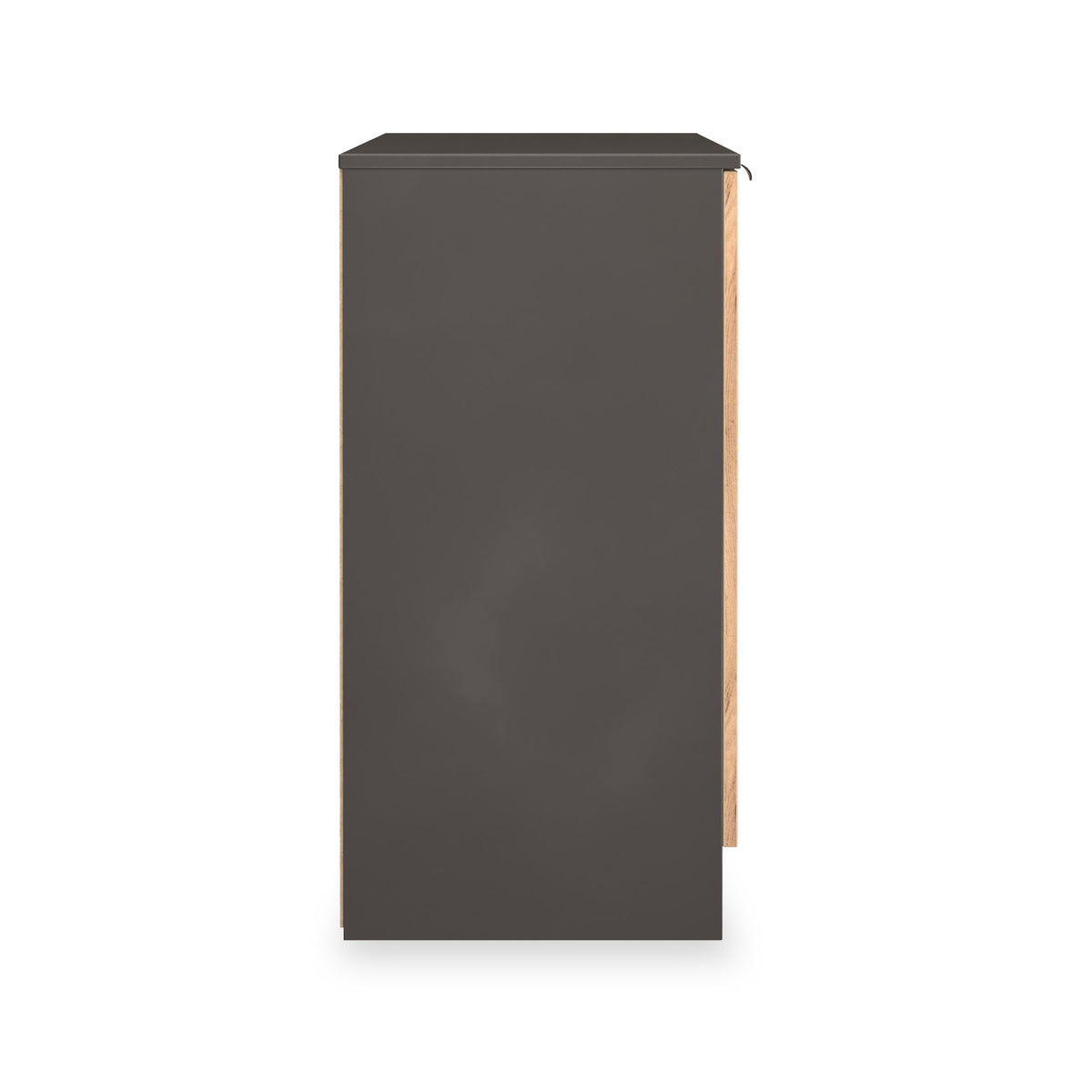 Huxley 2 Door Cabinet Oak Graphite from Roseland Furniture