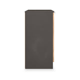 Huxley 2 Door Cabinet Oak Graphite from Roseland Furniture