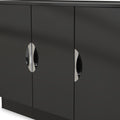 A sleek black cabinet with two shiny, oval handles against a light, blurred background.