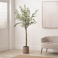 Large Olive Tree Close1 from Roseland Furniture